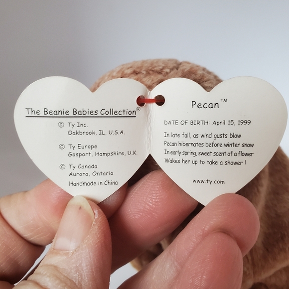 Ty Beanie Baby - Peacan the Brown Bear Plush Stuffed Animal Toy - Picture 6 of 9